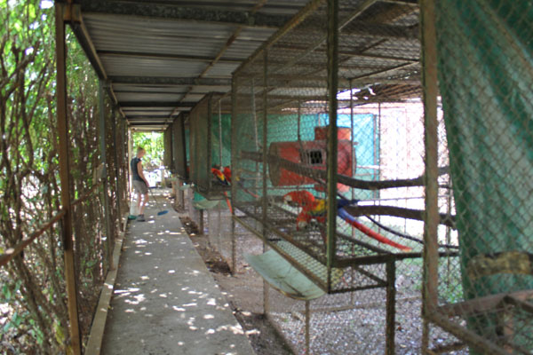 Row of breeding cages.